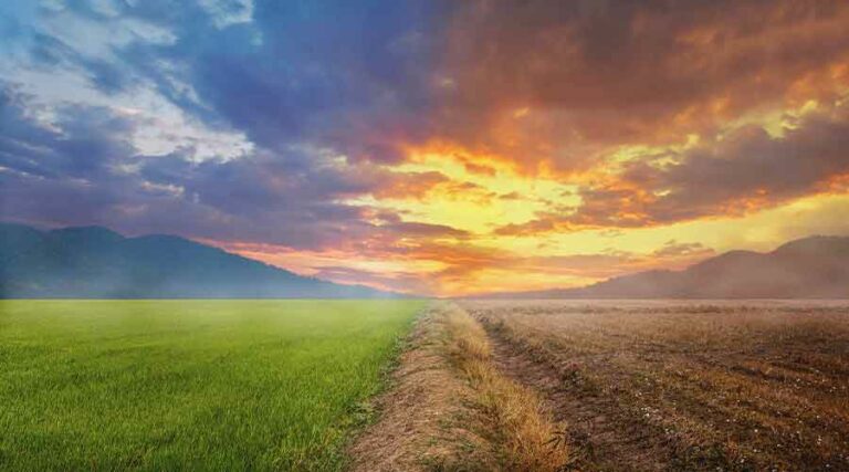 comment arroser en période de sécheresse en france