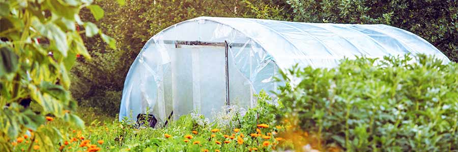 réservoir d'eau souple pour serre jardin