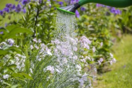 Économisez l’eau de votre jardin avec un récupérateur d&#8217;eau de pluie !, Citerne Rain O